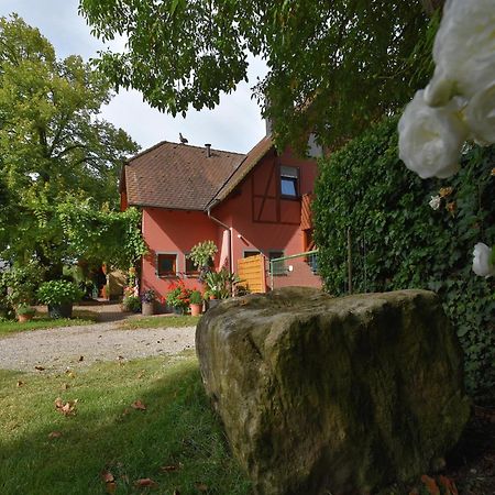 Countryside Apartment With Garden Schallstadt Exterior foto