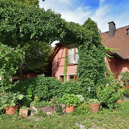 Countryside Apartment With Garden Schallstadt Exterior foto