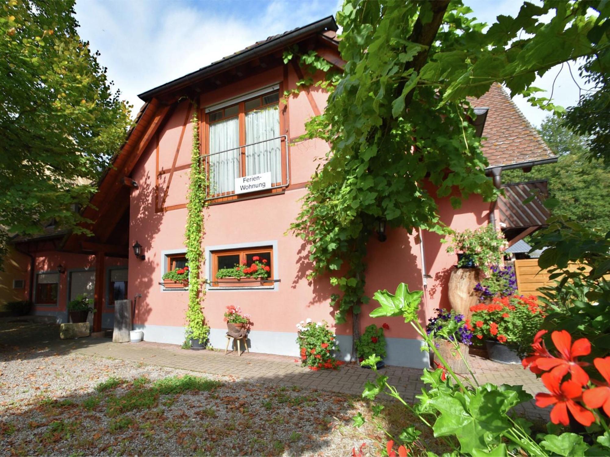 Countryside Apartment With Garden Schallstadt Exterior foto