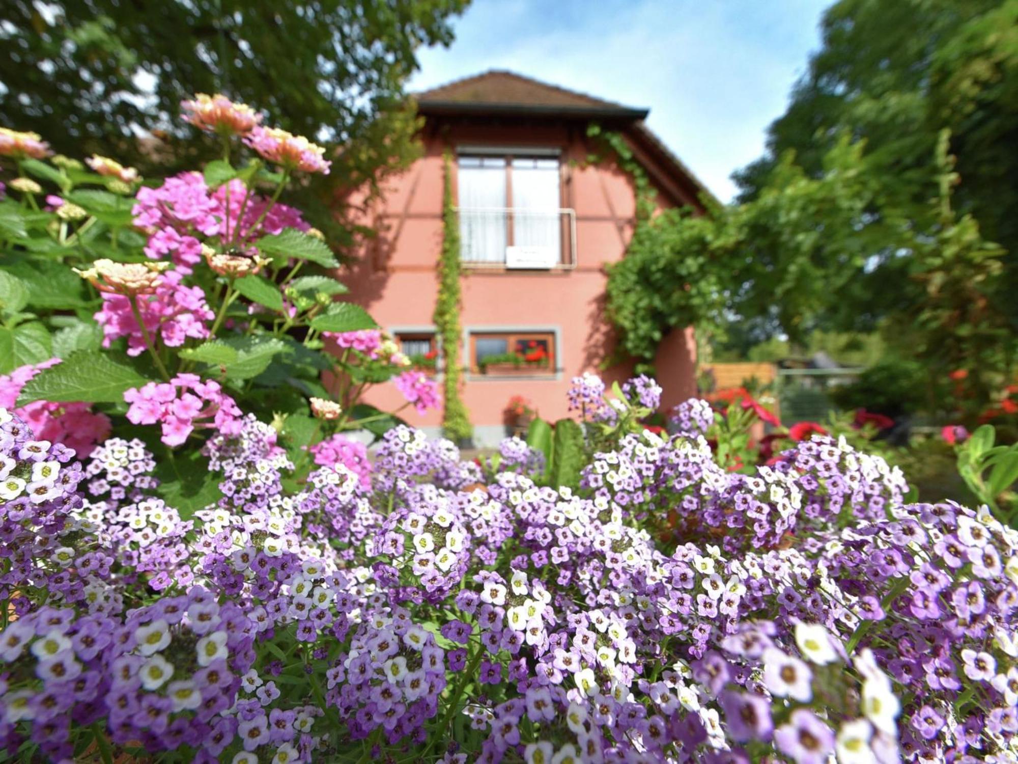 Countryside Apartment With Garden Schallstadt Exterior foto