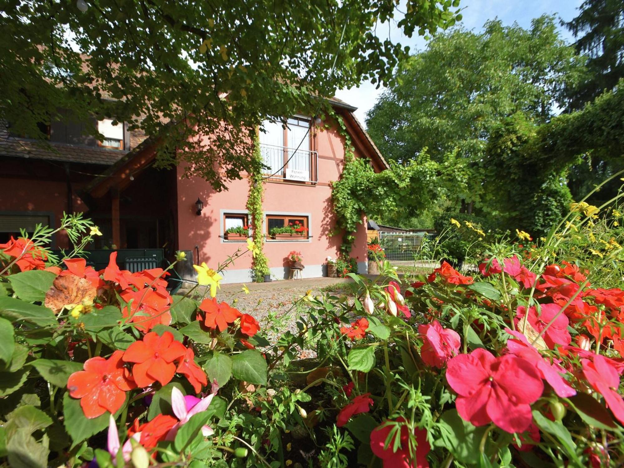 Countryside Apartment With Garden Schallstadt Exterior foto