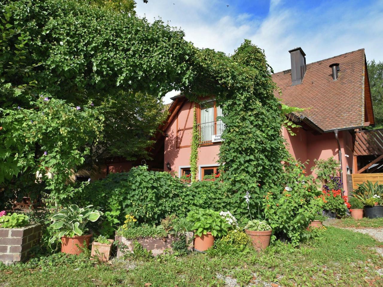 Countryside Apartment With Garden Schallstadt Exterior foto